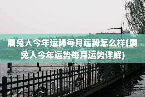 属兔人今年运势每月运势怎么样(属兔人今年运势每月运势详解)
