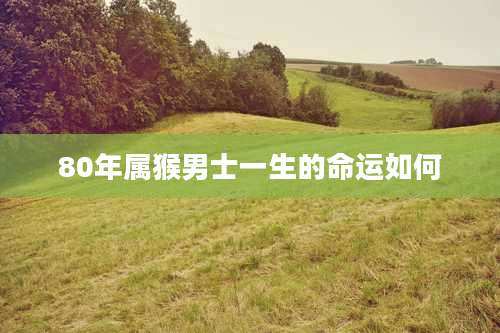 80年属猴男士一生的命运如何