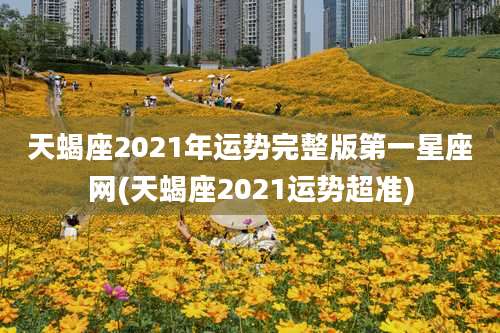 天蝎座2021年运势完整版第一星座网(天蝎座2021运势超准)