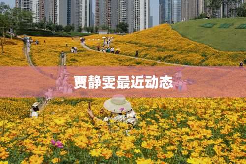 贾静雯最近动态