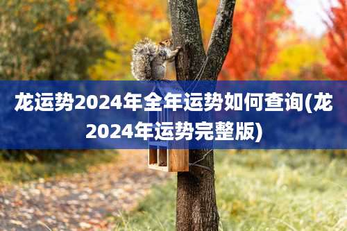 龙运势2024年全年运势如何查询(龙2024年运势完整版)