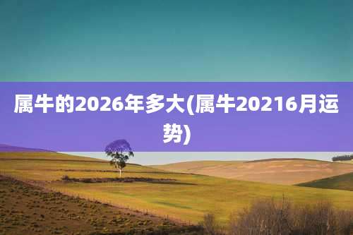属牛的2026年多大(属牛20216月运势)
