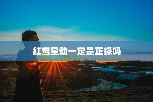 红鸾星动一定是正缘吗