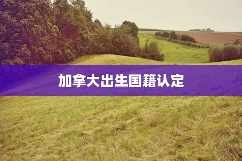 加拿大出生国籍认定