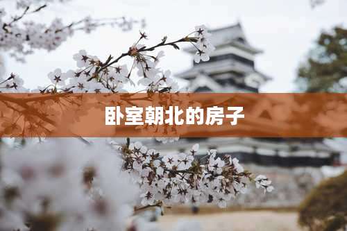 卧室朝北的房子