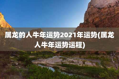 属龙的人牛年运势2021年运势(属龙人牛年运势运程)