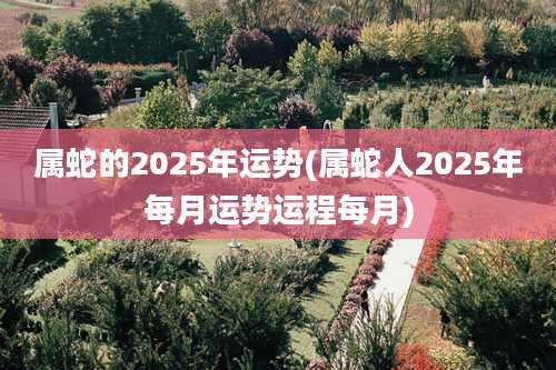 属蛇的2025年运势(属蛇人2025年每月运势运程每月)