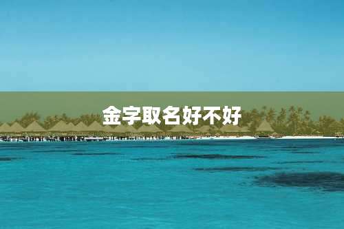 金字取名好不好