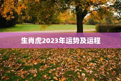 生肖虎2023年运势及运程