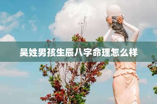 吴姓男孩生辰八字命理怎么样