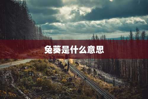 兔葵是什么意思