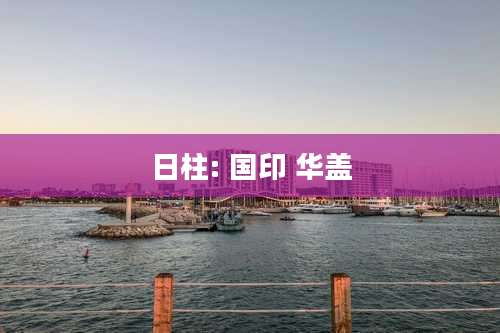 日柱: 国印 华盖
