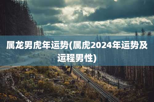 属龙男虎年运势(属虎2024年运势及运程男性)