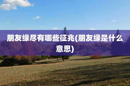 朋友缘尽有哪些征兆(朋友缘是什么意思)