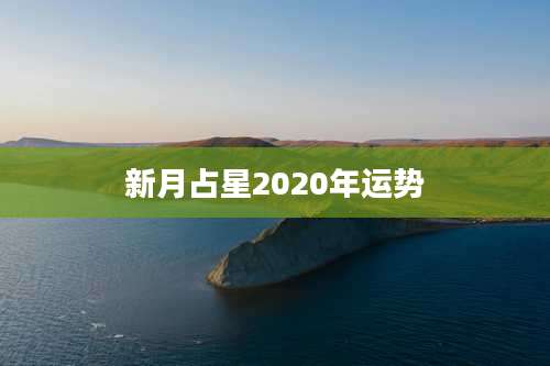 新月占星2020年运势