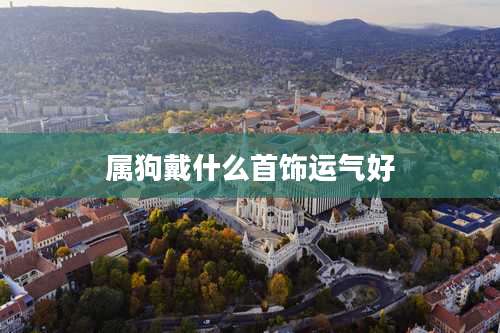 属狗戴什么首饰运气好