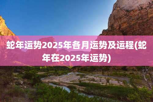 蛇年运势2025年各月运势及运程(蛇年在2025年运势)