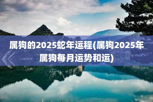 属狗的2025蛇年运程(属狗2025年属狗每月运势和运)