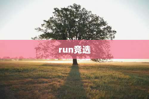 run竞选
