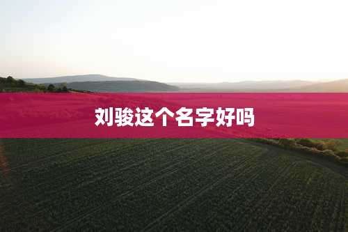 刘骏这个名字好吗