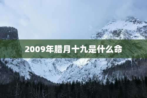 2009年腊月十九是什么命