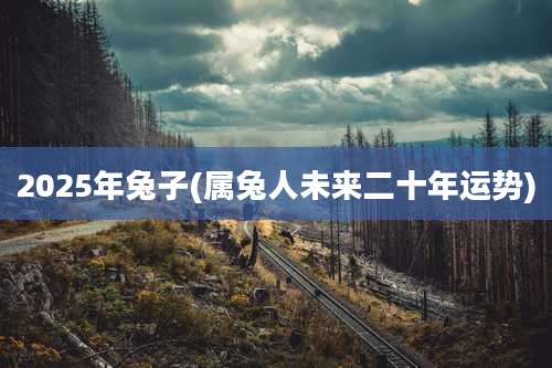2025年兔子(属兔人未来二十年运势)