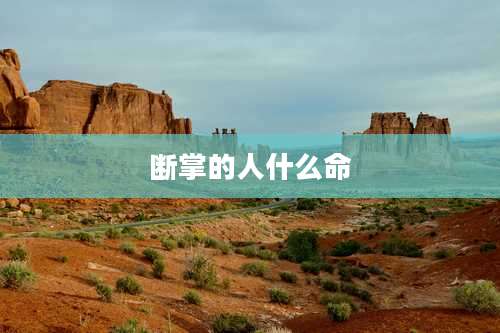 断掌的人什么命