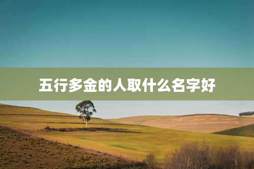 五行多金的人取什么名字好