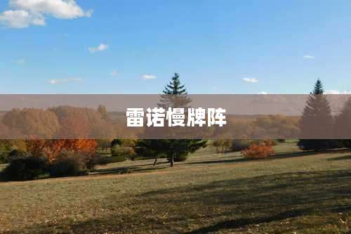 雷诺慢牌阵
