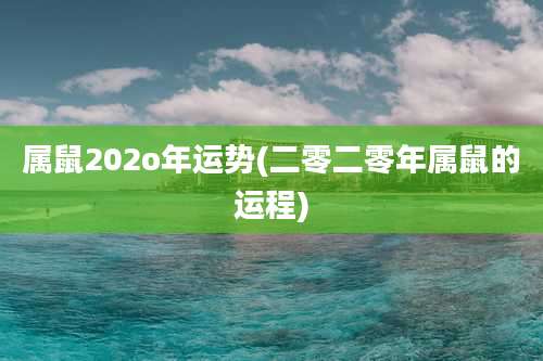 属鼠202o年运势(二零二零年属鼠的运程)