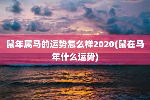 鼠年属马的运势怎么样2020(鼠在马年什么运势)