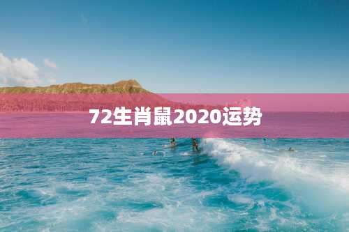 72生肖鼠2020运势