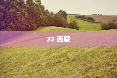 22 西藏