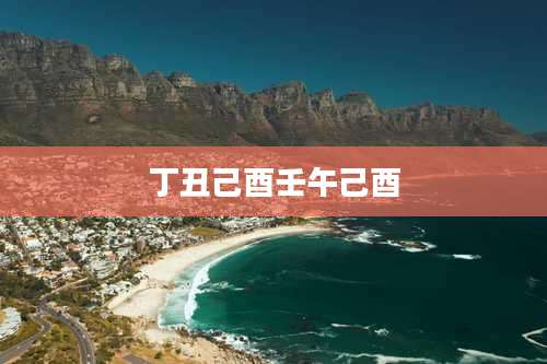 丁丑己酉壬午己酉