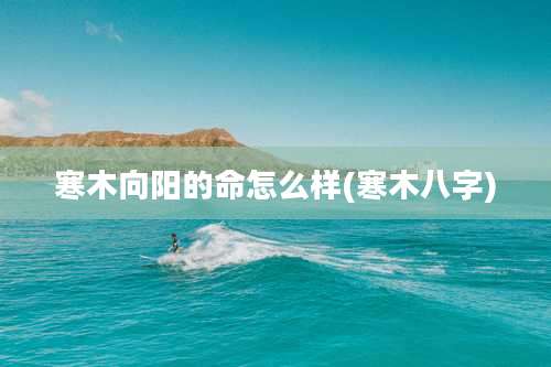 寒木向阳的命怎么样(寒木八字)