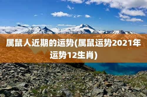 属鼠人近期的运势(属鼠运势2021年运势12生肖)