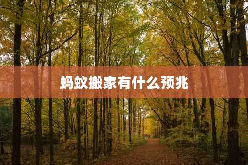 蚂蚁搬家有什么预兆