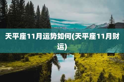 天平座11月运势如何(天平座11月财运)