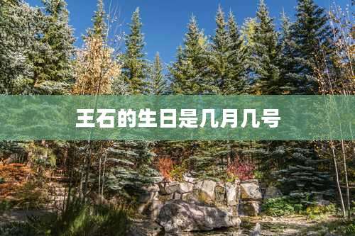 王石的生日是几月几号