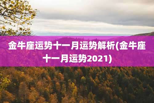 金牛座运势十一月运势解析(金牛座十一月运势2021)