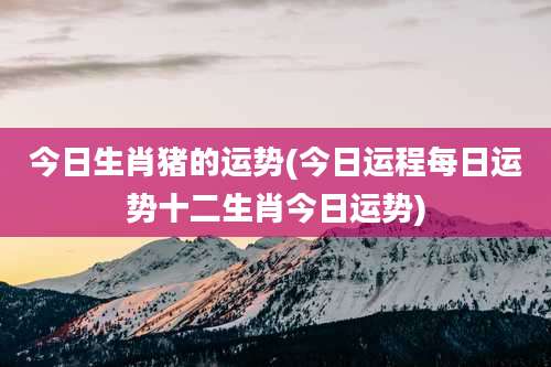 今日生肖猪的运势(今日运程每日运势十二生肖今日运势)