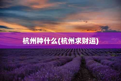 杭州种什么(杭州求财运)