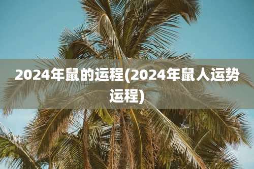 2024年鼠的运程(2024年鼠人运势运程)