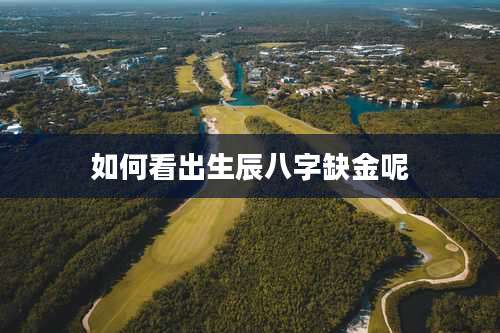 如何看出生辰八字缺金呢