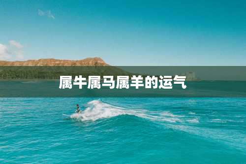 属牛属马属羊的运气