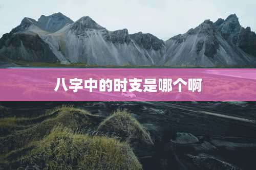 八字中的时支是哪个啊