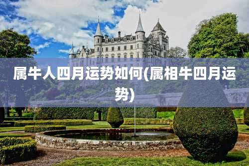 属牛人四月运势如何(属相牛四月运势)