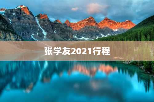 张学友2021行程
