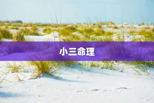小三命理