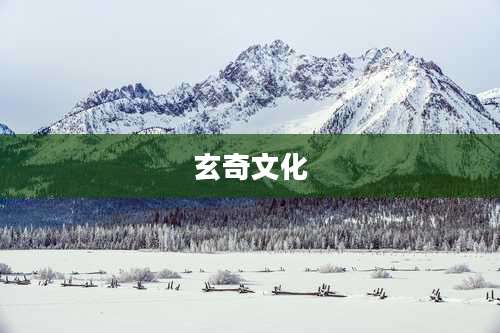 玄奇文化